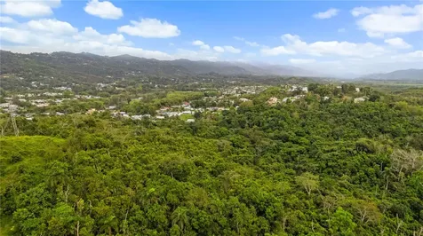 PR-796, Rio Cañas Ward Caguas PR 00725