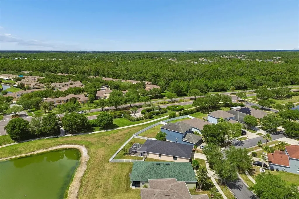 20122 Nob Oak Avenue Tampa FL 33647