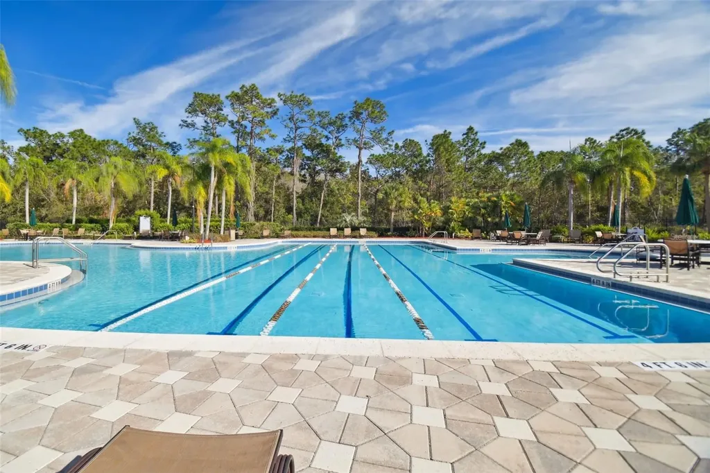 20122 Nob Oak Avenue Tampa FL 33647