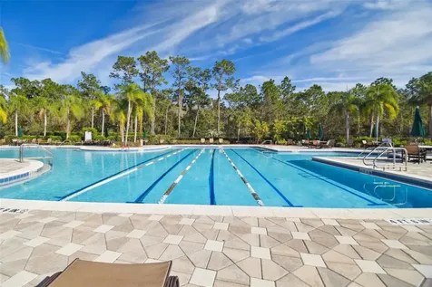 20122 Nob Oak Avenue Tampa FL 33647