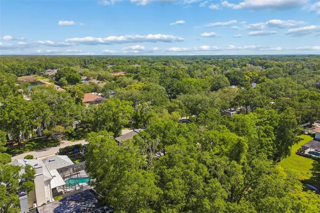 2522 Cozumel Drive Tampa FL 33618