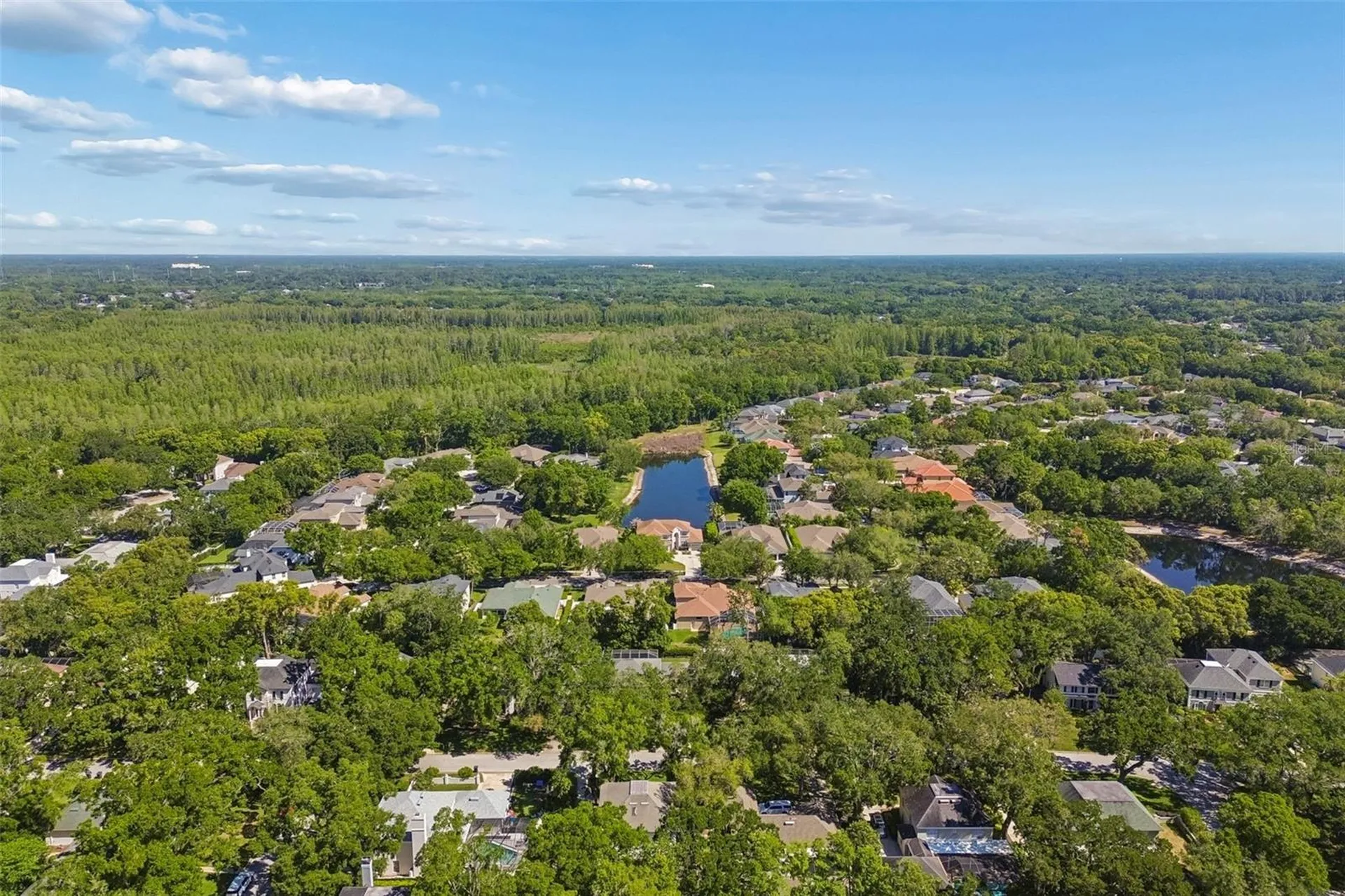 2522 Cozumel Drive Tampa FL 33618