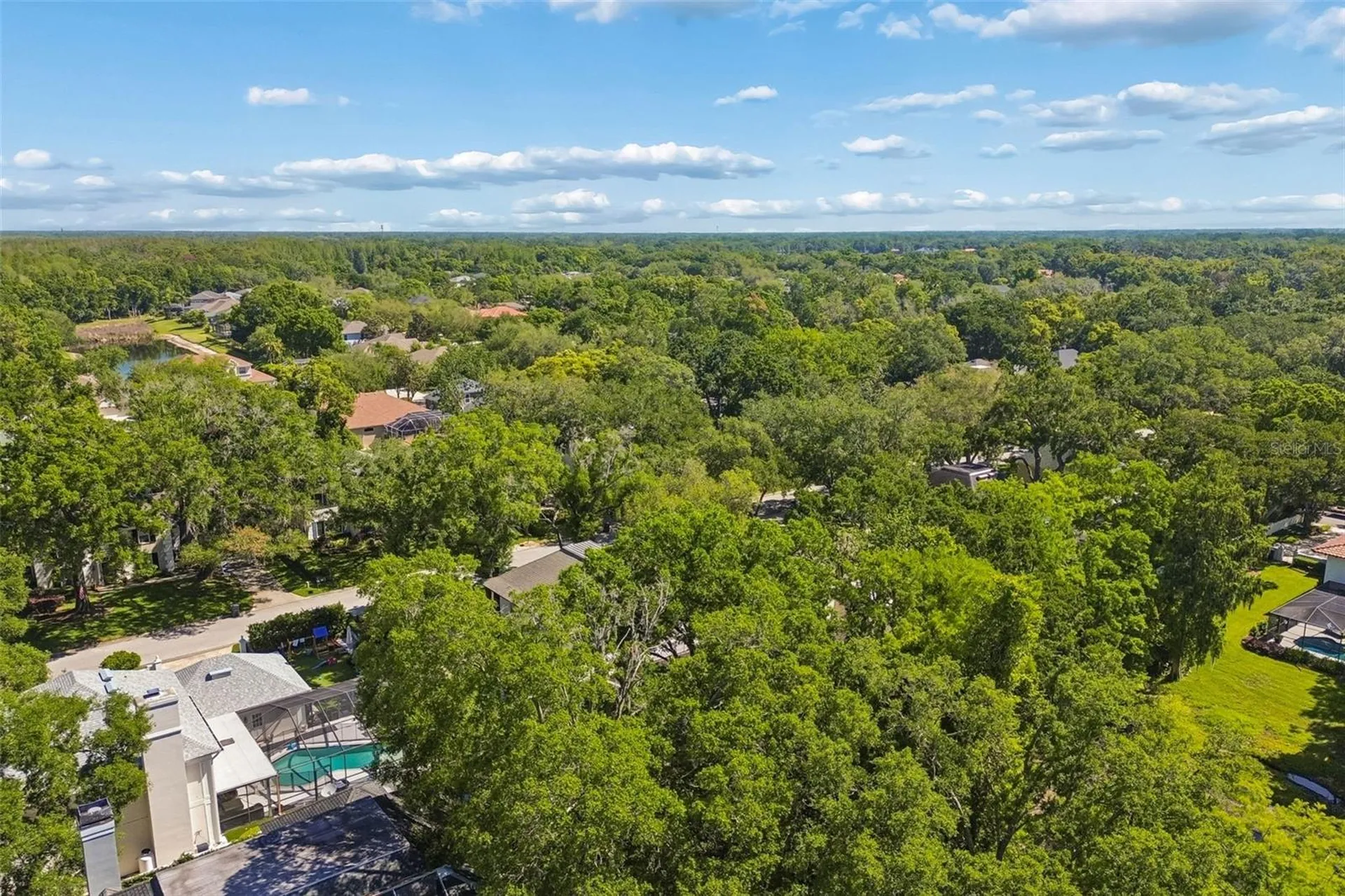 2522 Cozumel Drive Tampa FL 33618