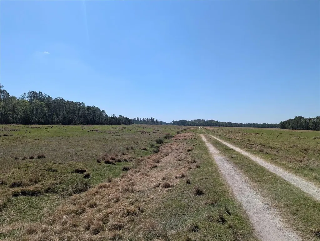 Deen Still Road E Polk City FL 33868