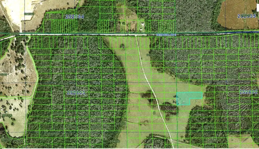 Deen Still Road E Polk City FL 33868