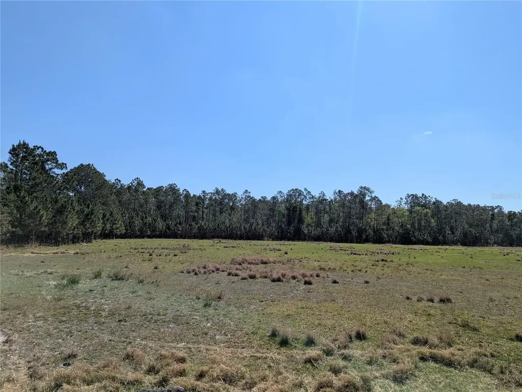 Deen Still Road E Polk City FL 33868