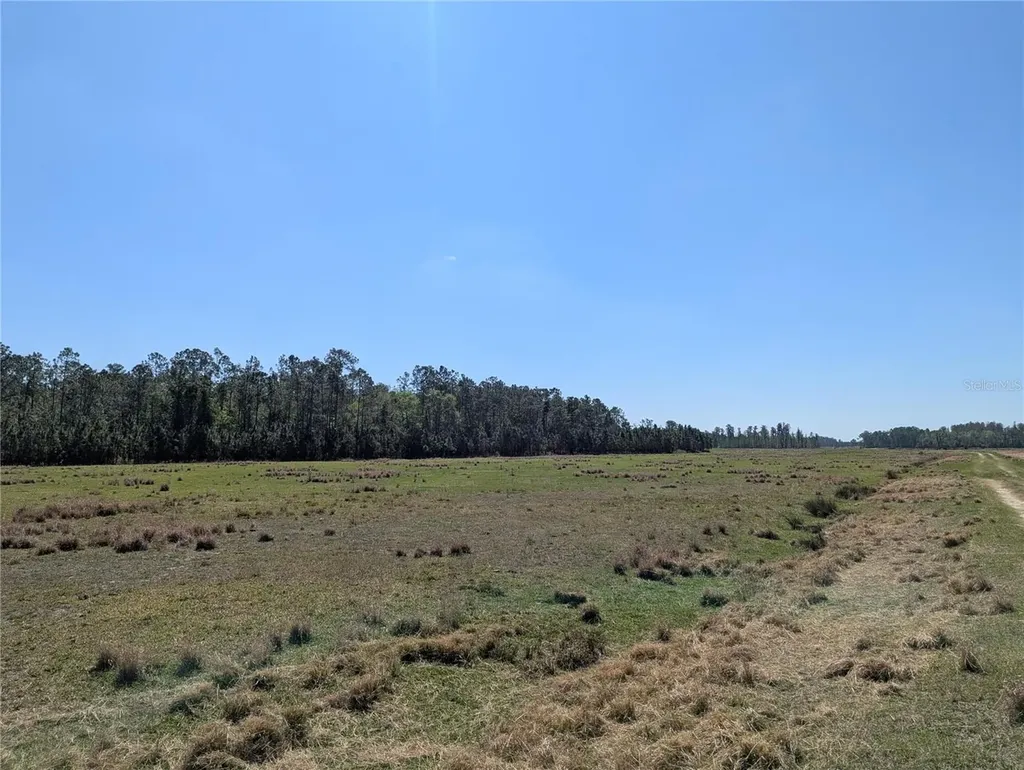 Deen Still Road E Polk City FL 33868