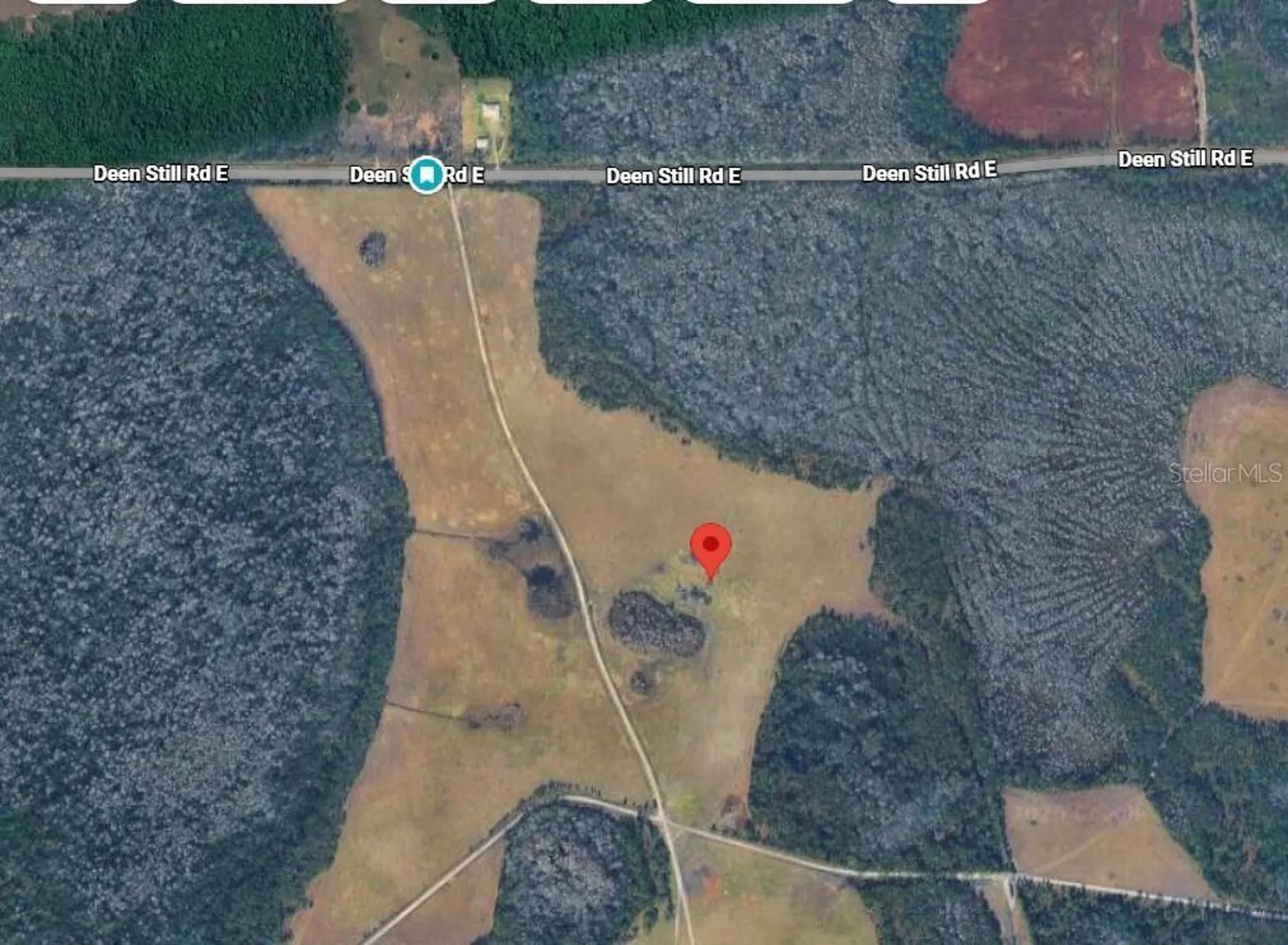 Deen Still Road E Polk City FL 33868