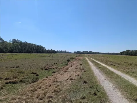 Deen Still Road E Polk City FL 33868