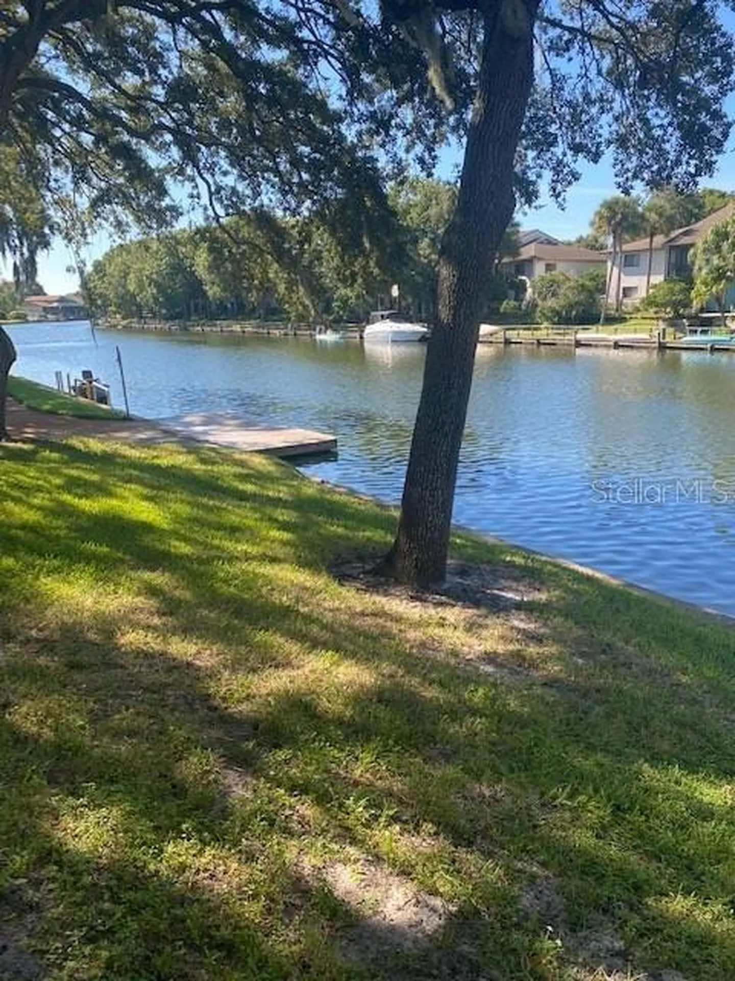 6301 Newtown Circle Tampa FL 33615