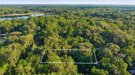 16780 SE 9th Street Silver Springs FL 34488