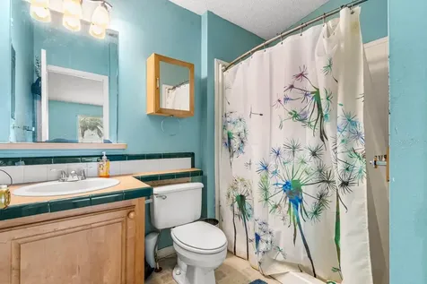 12730 Bullfrog Creek Road Gibsonton FL 33534