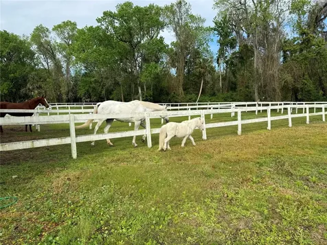 105 Sweet Bay Lane Longwood FL 32779