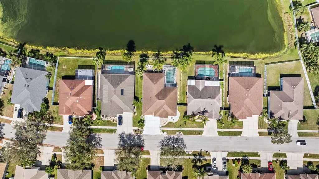 5117 Spectacular Bid Drive Wesley Chapel FL 33544
