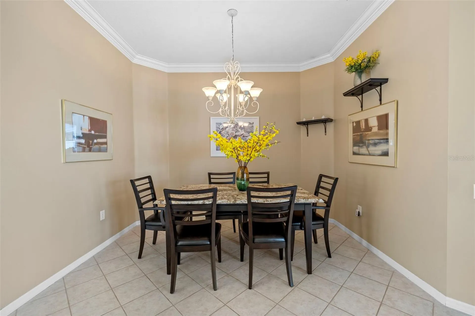 5117 Spectacular Bid Drive Wesley Chapel FL 33544