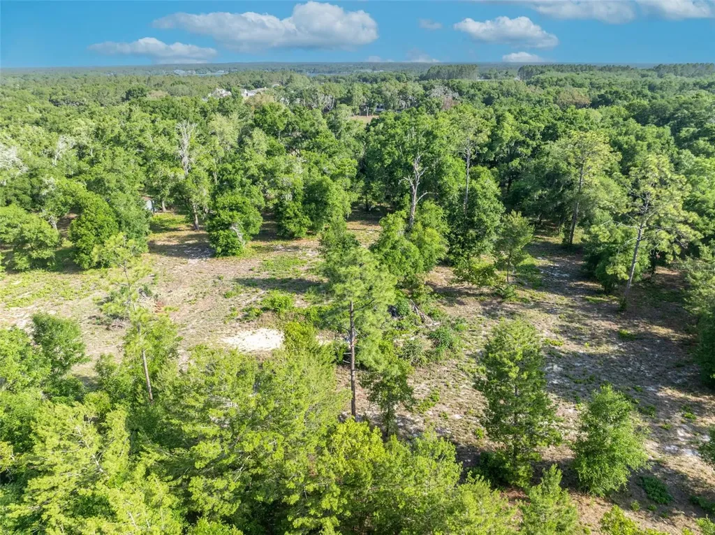 Shady Oak Lane Eustis FL 32736