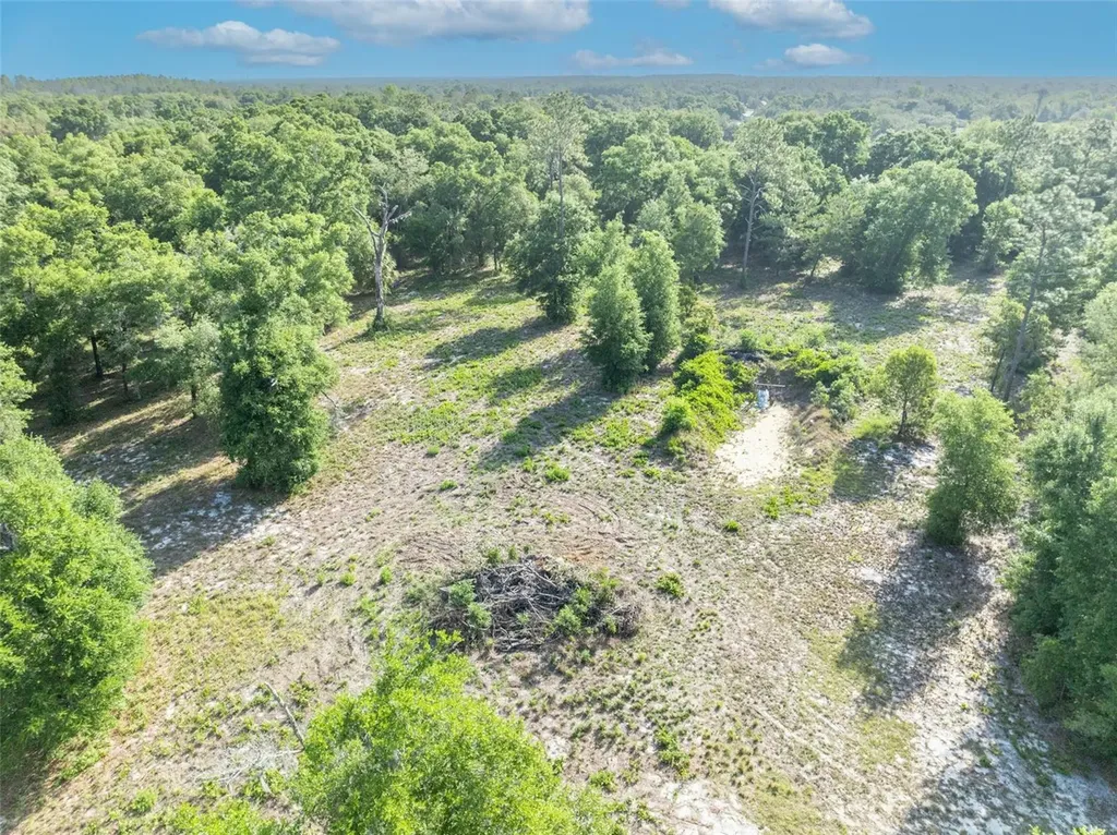 Shady Oak Lane Eustis FL 32736