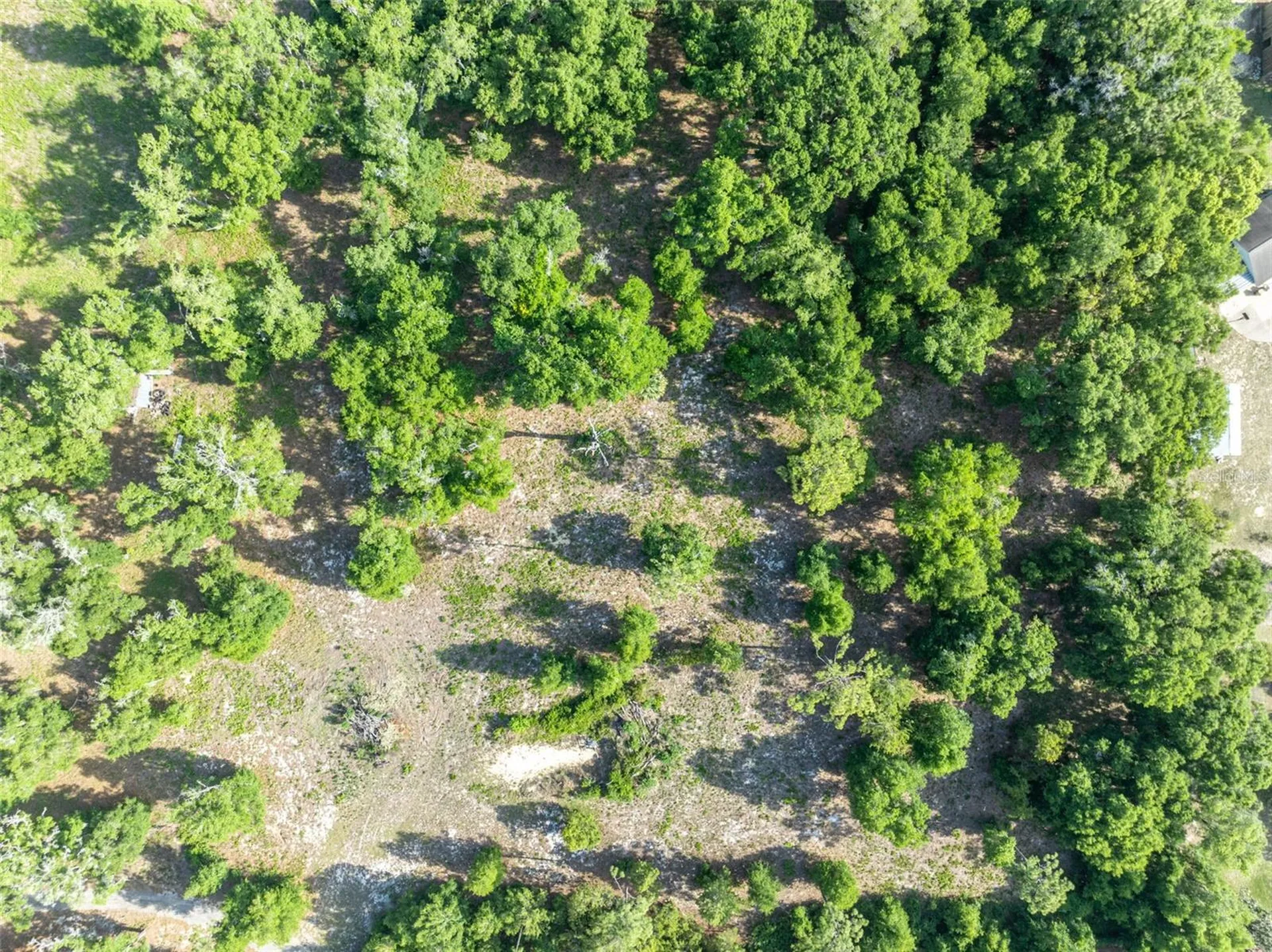 Shady Oak Lane Eustis FL 32736