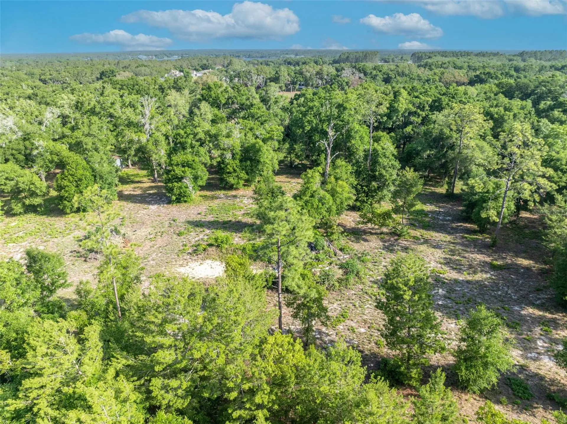 Shady Oak Lane Eustis FL 32736