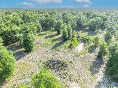 Shady Oak Lane Eustis FL 32736