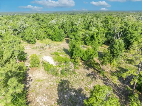 Shady Oak Lane Eustis FL 32736