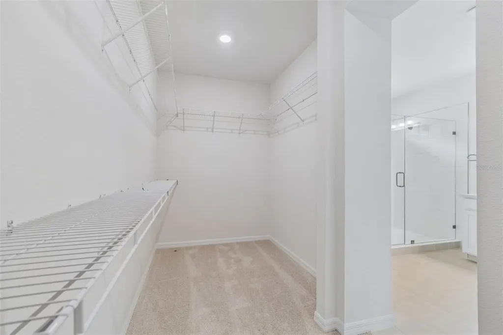 3371 Yellow Cassia Drive Wesley Chapel FL 33543
