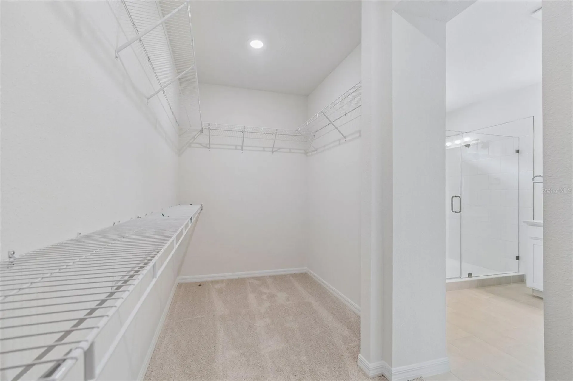 3371 Yellow Cassia Drive Wesley Chapel FL 33543