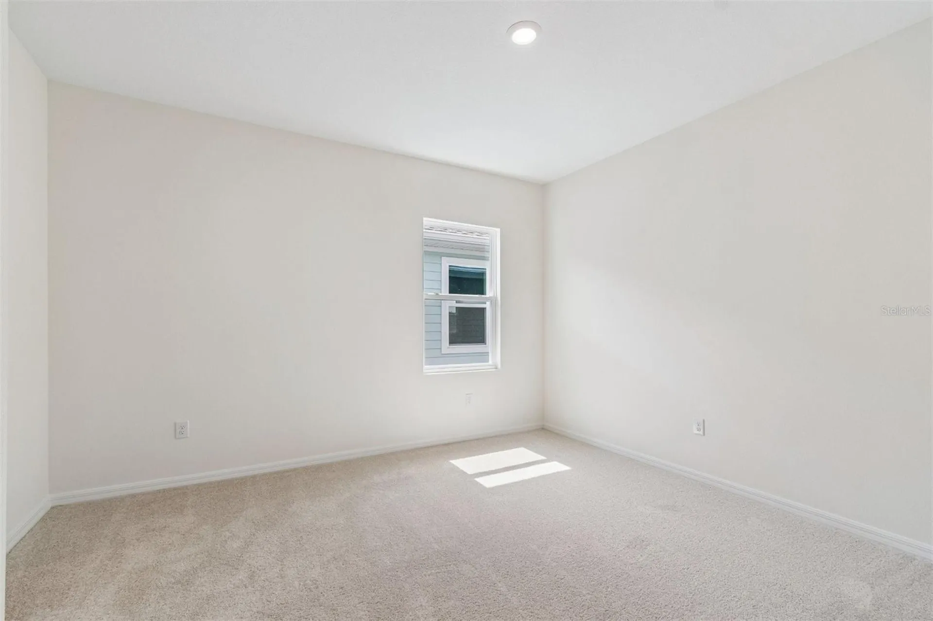 3371 Yellow Cassia Drive Wesley Chapel FL 33543