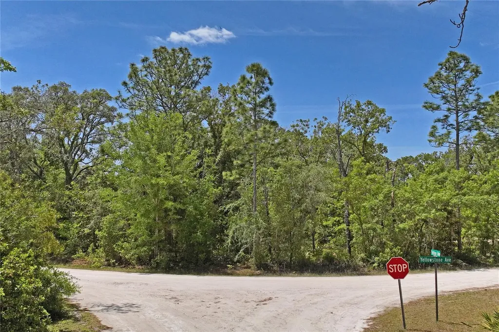 0 Yellowstone Avenue Weeki Wachee FL 34614