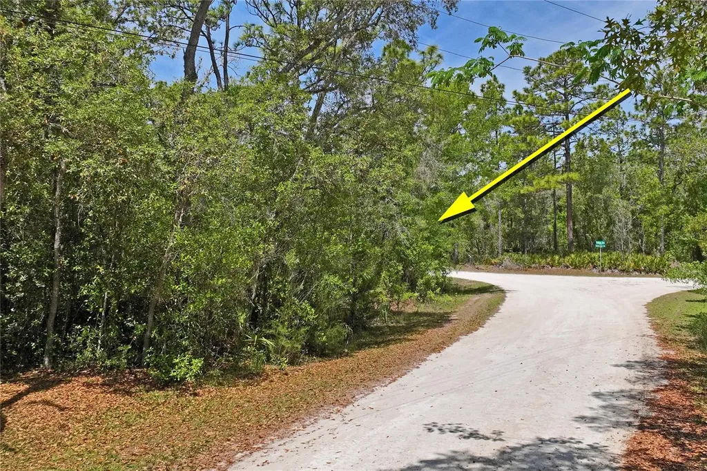 0 Yellowstone Avenue Weeki Wachee FL 34614