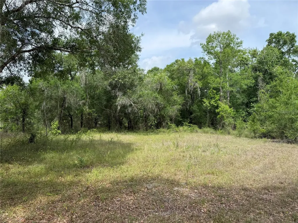 3205 Park Drive Dade City FL 33523