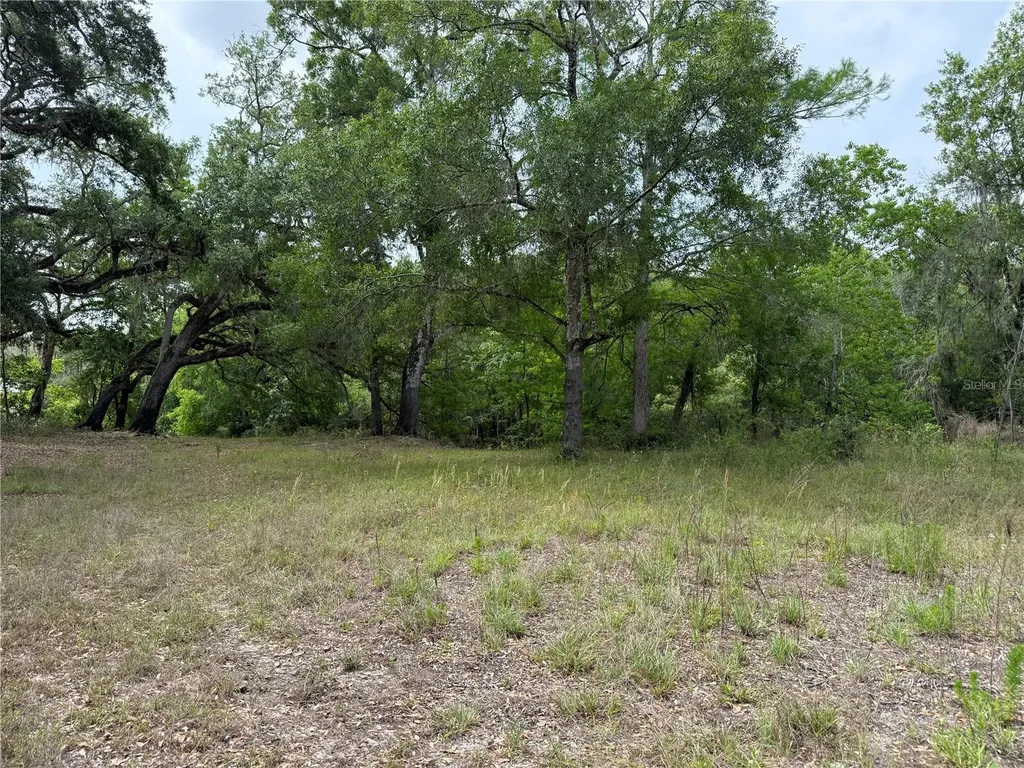 3205 Park Drive Dade City FL 33523