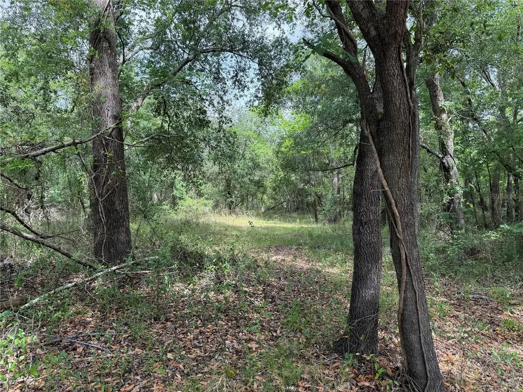 3205 Park Drive Dade City FL 33523