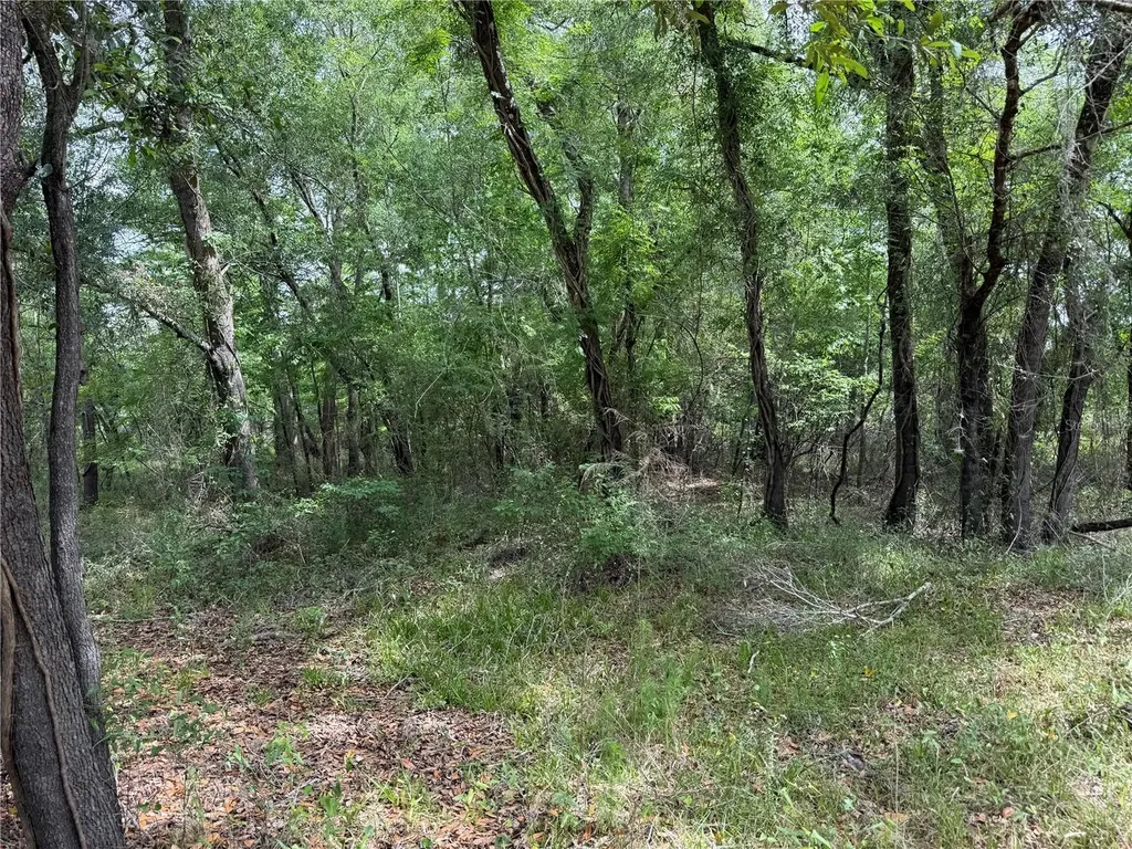 3205 Park Drive Dade City FL 33523