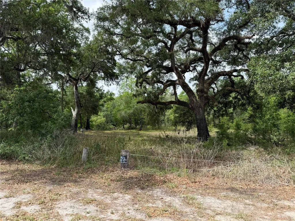 3205 Park Drive Dade City FL 33523
