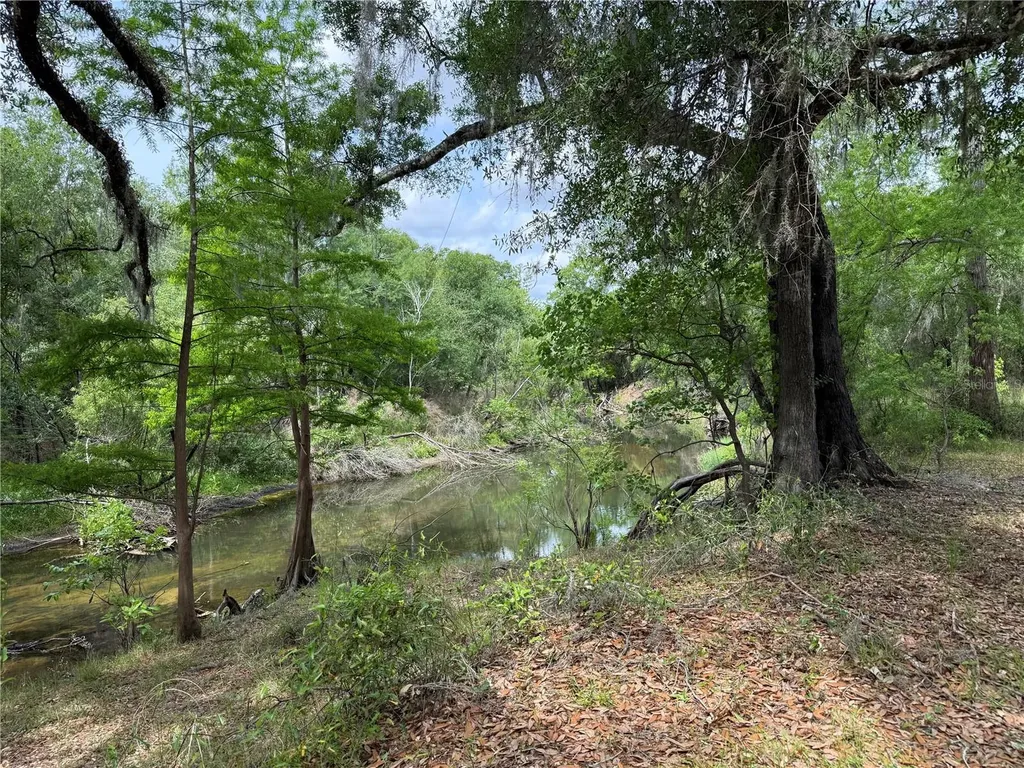 3205 Park Drive Dade City FL 33523