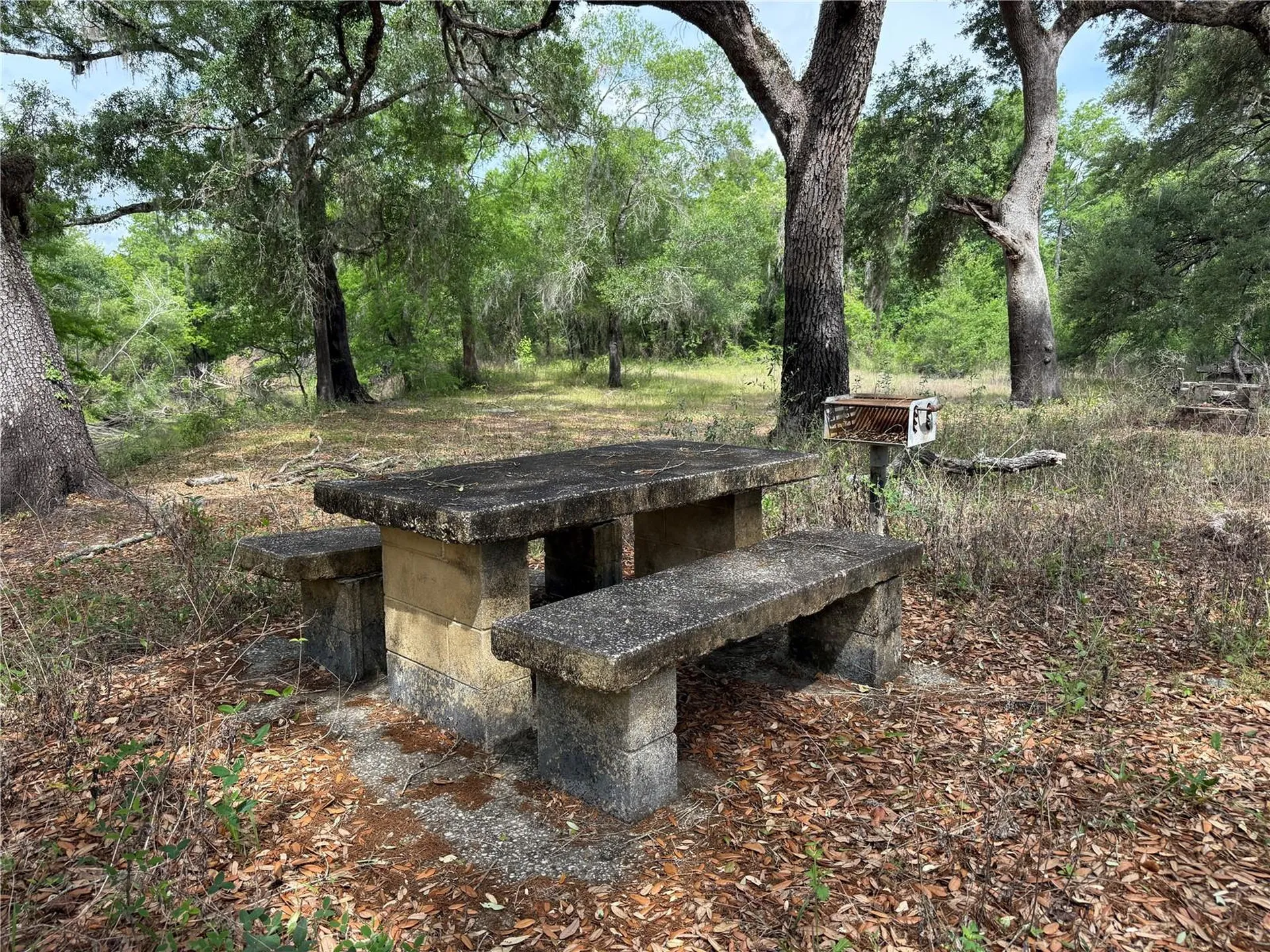 3205 Park Drive Dade City FL 33523