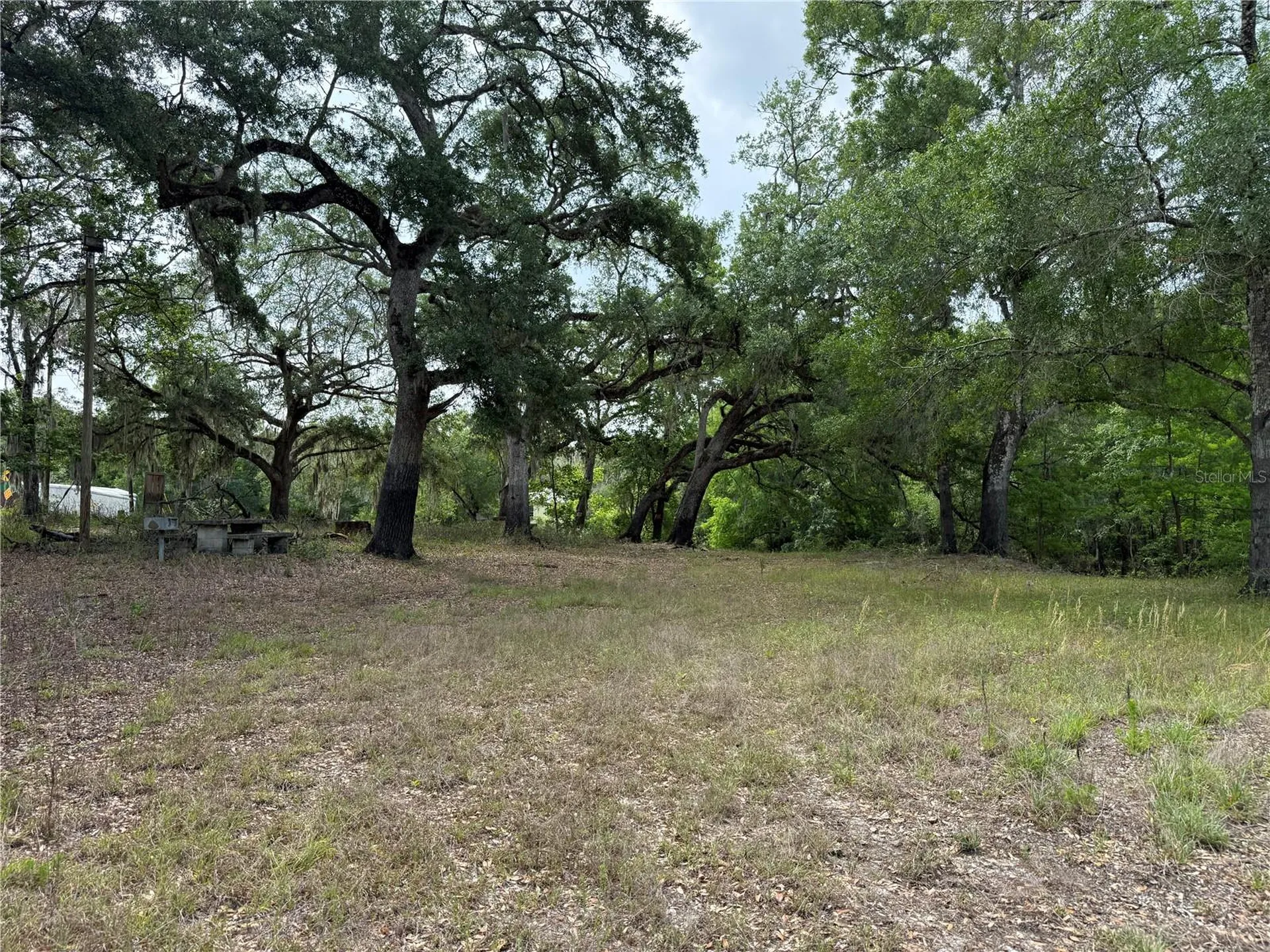 3205 Park Drive Dade City FL 33523