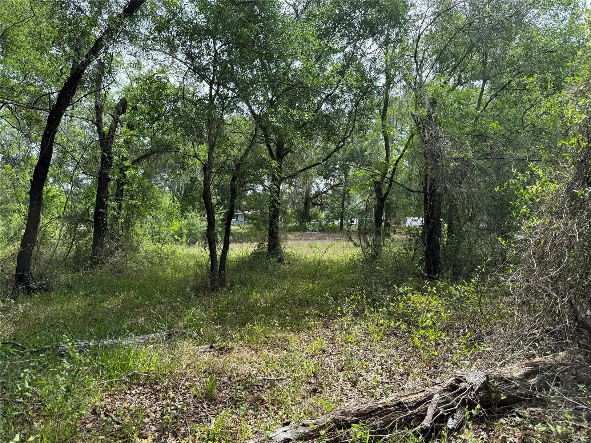 3205 Park Drive Dade City FL 33523