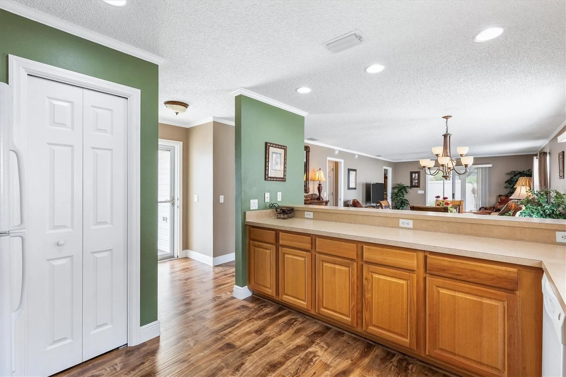 979 Smyrna Street The Villages FL 32162