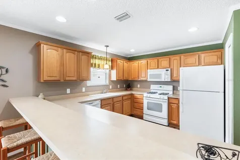 979 Smyrna Street The Villages FL 32162