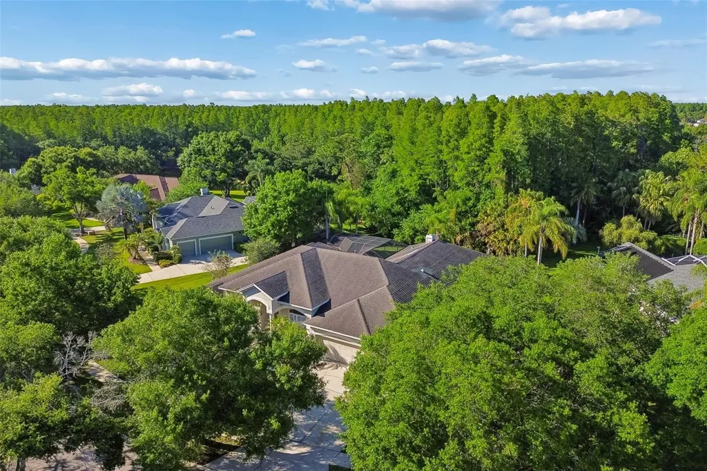 19108 Centre Rose Boulevard Lutz FL 33558