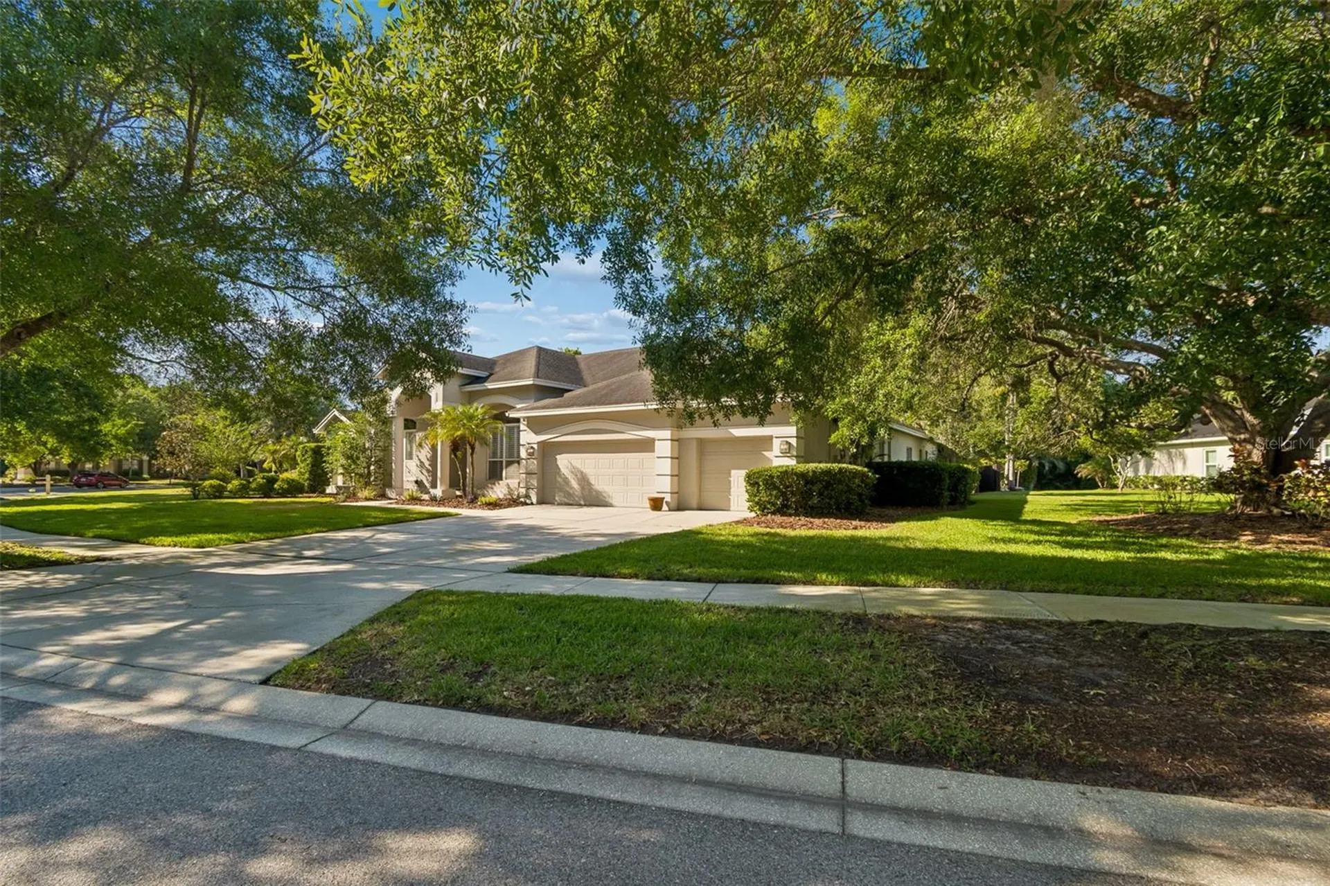 19108 Centre Rose Boulevard Lutz FL 33558