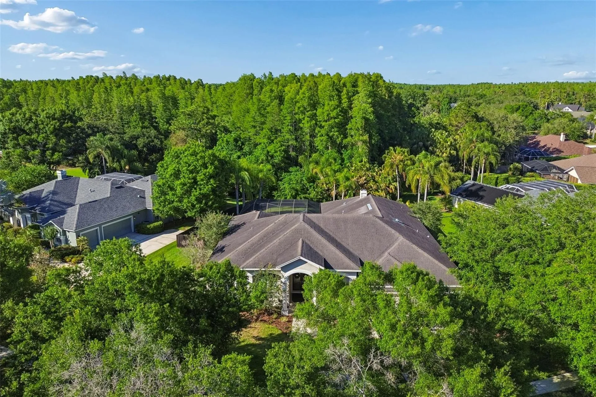 19108 Centre Rose Boulevard Lutz FL 33558