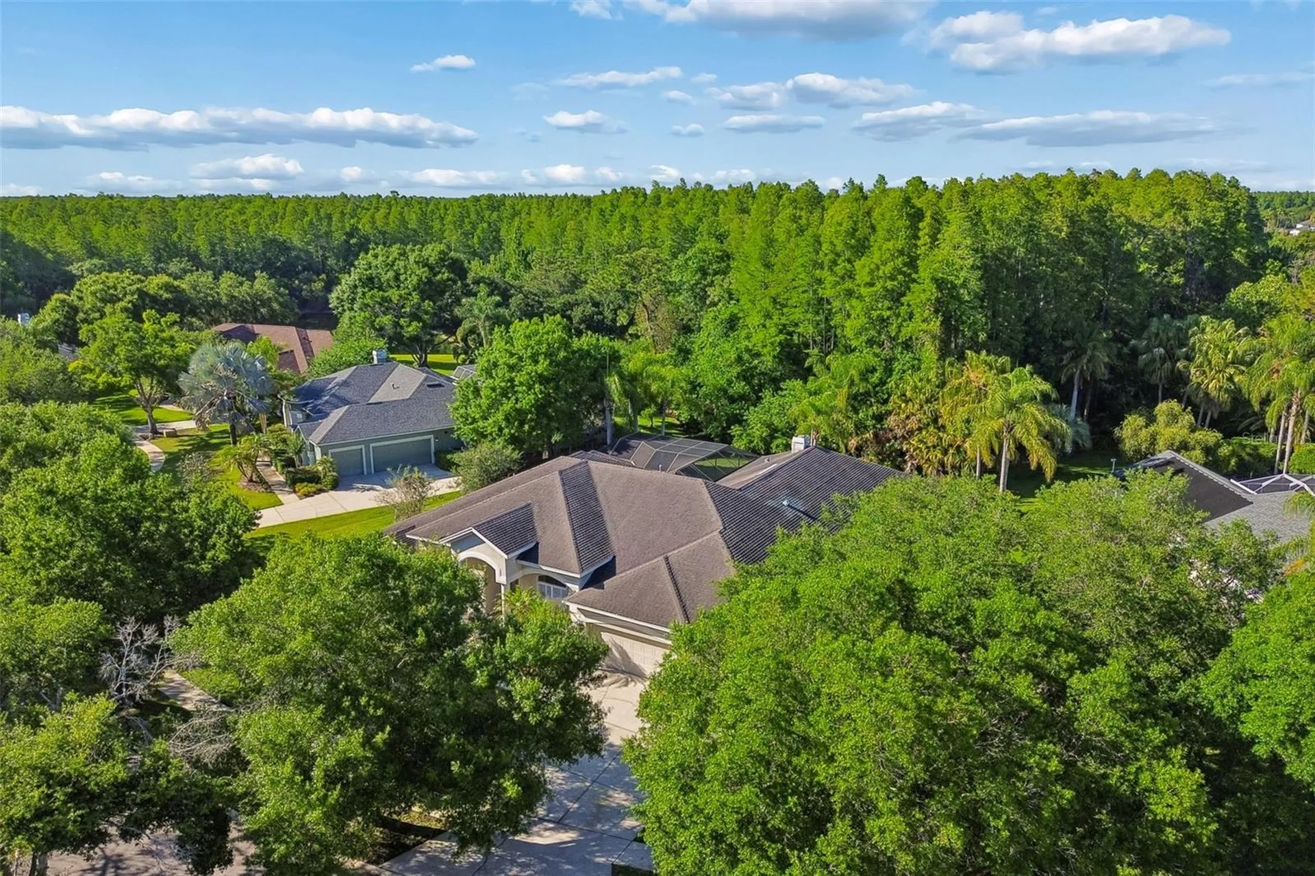 19108 Centre Rose Boulevard Lutz FL 33558