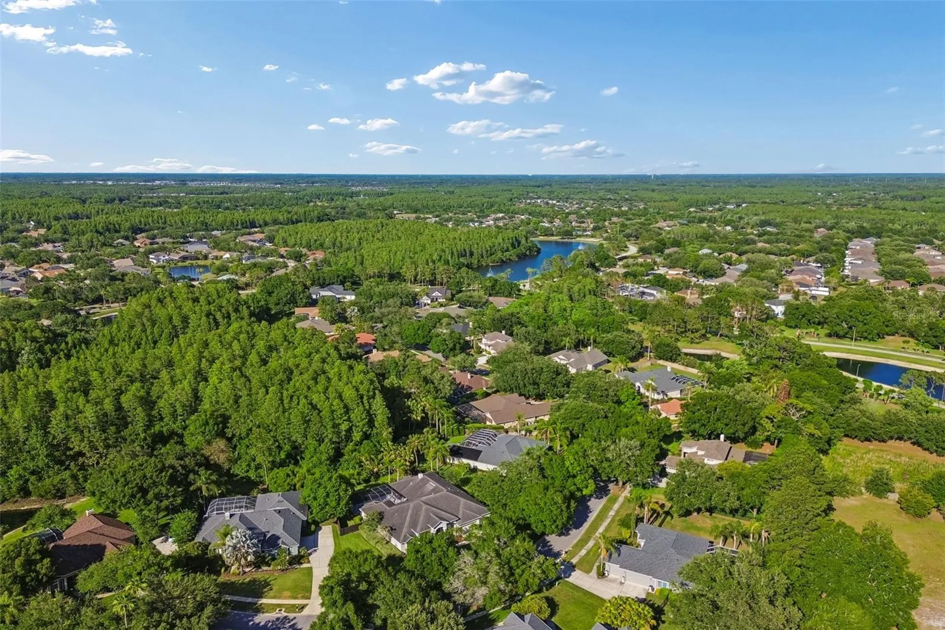 19108 Centre Rose Boulevard Lutz FL 33558