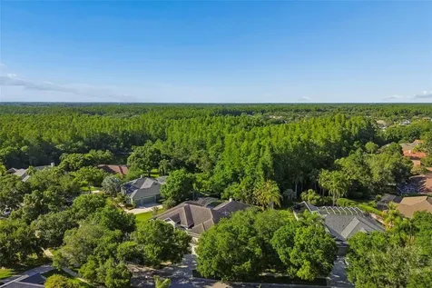 19108 Centre Rose Boulevard Lutz FL 33558