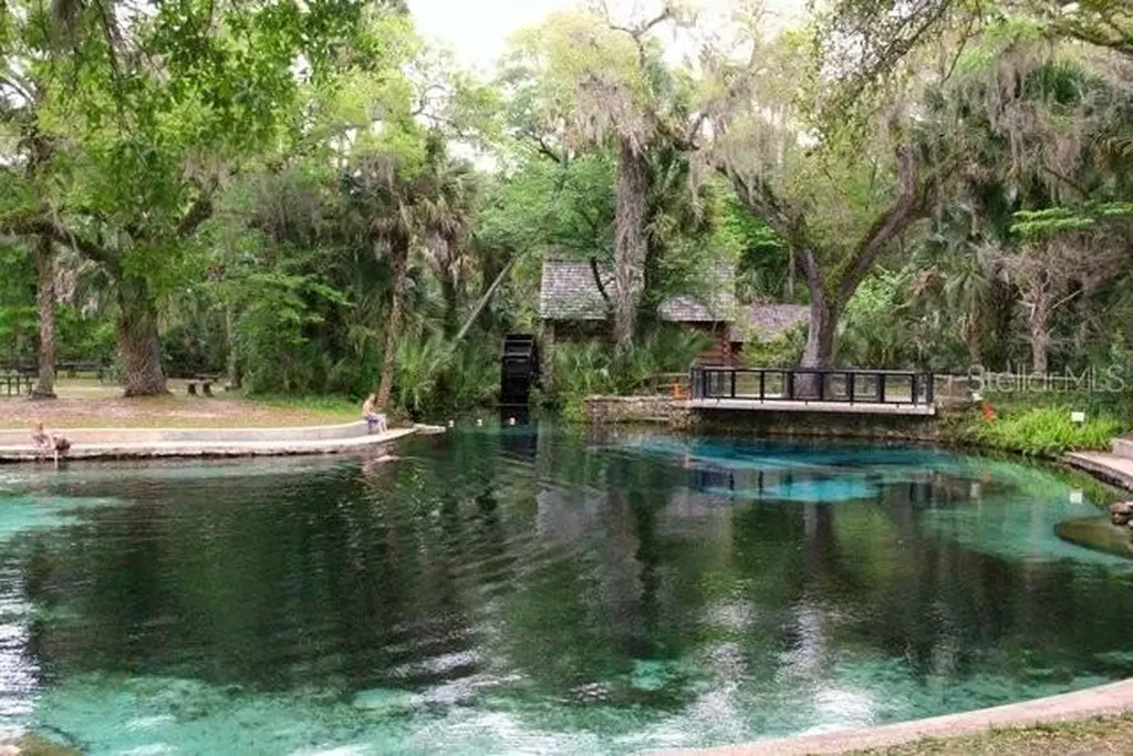 13261 NE 155th Lane Fort Mc Coy FL 32134