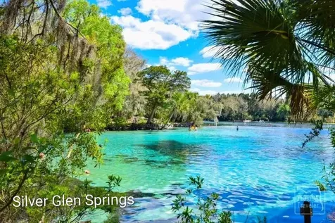 13261 NE 155th Lane Fort Mc Coy FL 32134