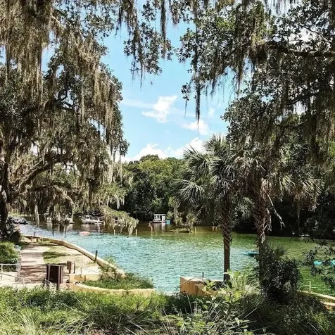 13261 NE 155th Lane Fort Mc Coy FL 32134